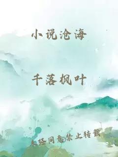 小說(shuō)滄海