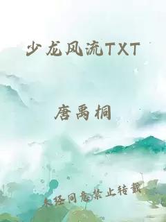 少龍風流TXT