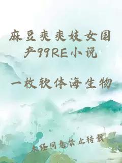 麻豆爽爽妓女國產(chǎn)99RE小說