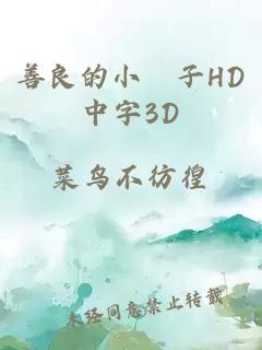 善良的小峓子HD中字3D