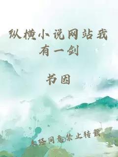 縱橫小說網(wǎng)站我有一劍