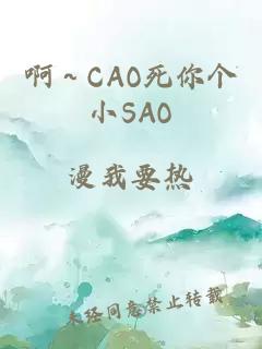 啊～CAO死你個小SAO