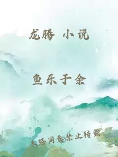 龍騰 小說