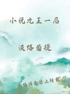 小說九王一后