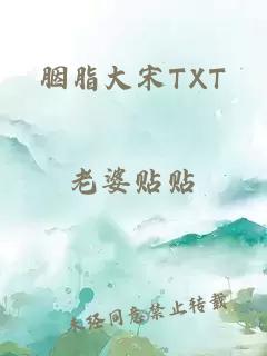 胭脂大宋TXT