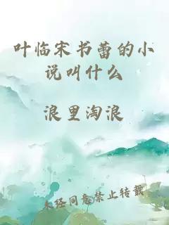 葉臨宋書(shū)蕾的小說(shuō)叫什么