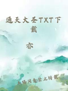 通天大圣TXT下載