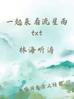 一起來看流星雨txt