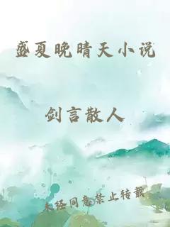 盛夏晚晴天小說