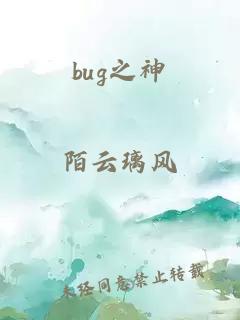 bug之神