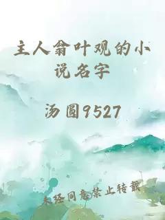 主人翁葉觀的小說名字