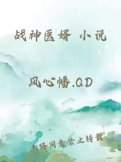 戰(zhàn)神醫(yī)婿 小說(shuō)