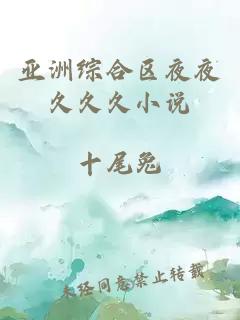 亞洲綜合區(qū)夜夜久久久小說(shuō)