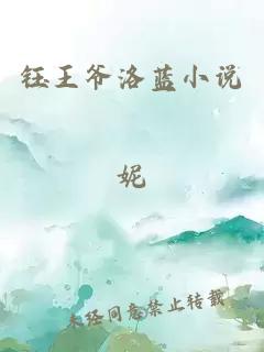 鈺王爺洛藍小說