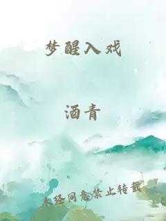 夢(mèng)醒入戲