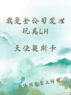 我是全公司發泄玩具LH