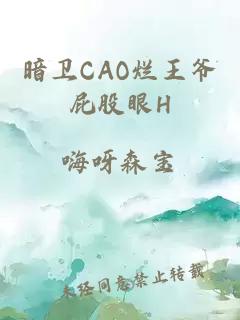 暗衛CAO爛王爺屁股眼H