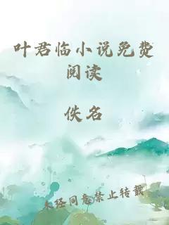 葉君臨小說免費閱讀