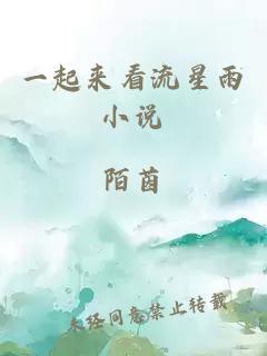 一起來(lái)看流星雨小說(shuō)