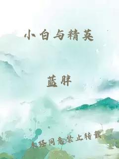 小白與精英