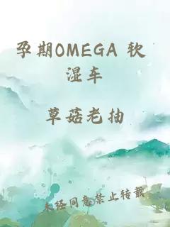 孕期OMEGA 軟 濕車