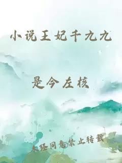 小說王妃千九九