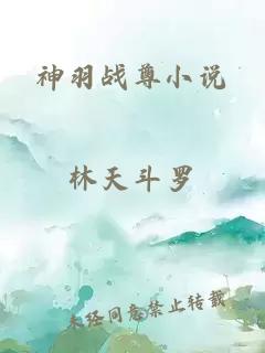 神羽戰(zhàn)尊小說