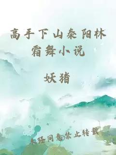 高手下山秦陽林霜舞小說