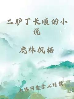 二驢丁長順的小說