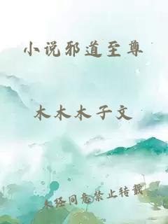 小說邪道至尊