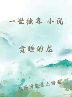 一世獨尊 小說