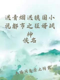 洪青煙洪鎮(zhèn)國小說都市之狂婿戰(zhàn)神