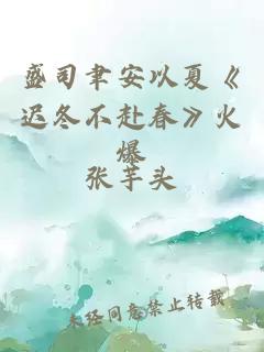 盛司聿安以夏《遲冬不赴春》火爆