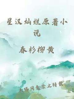 星漢燦爛原著小說