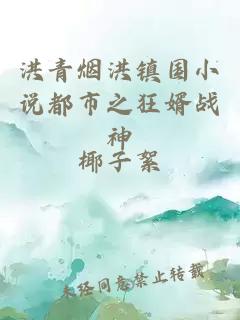 洪青煙洪鎮(zhèn)國小說都市之狂婿戰(zhàn)神