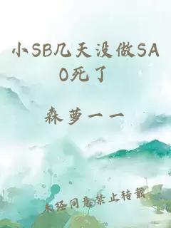 小SB幾天沒做SAO死了