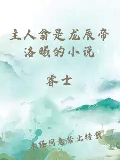 主人翁是龍辰帝洛曦的小說