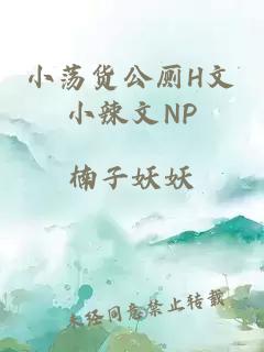 小蕩貨公廁H文小辣文NP