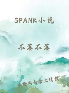 SPANK小說