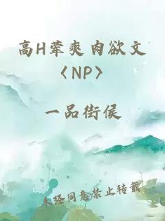 高H葷爽肉欲文〈NP〉