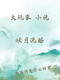 大玩家 小說