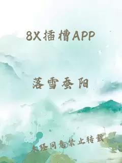 8X插槽APP