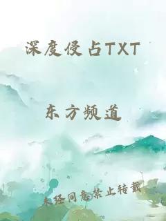 深度侵占TXT