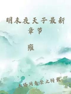 明末夜天子最新章節