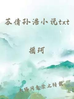 蘇倩孫浩小說txt