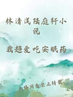 林清淺陸庭軒小說