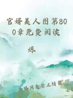 官婿美人圖第800章免費(fèi)閱讀