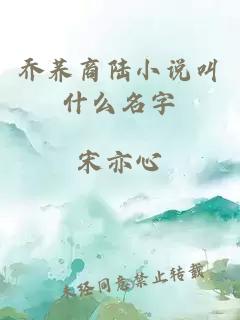 喬蕎商陸小說叫什么名字