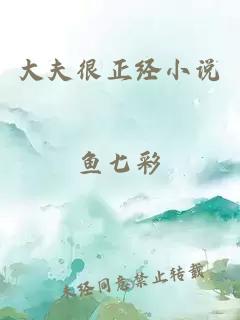 大夫很正經小說