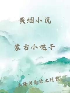 黃煙小說(shuō)